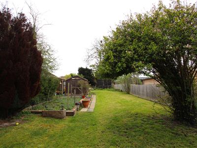 Picture 15